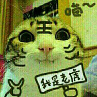 企業(yè)
