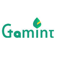 Gamint 游戏薄荷