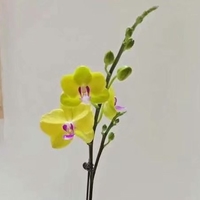 個(gè)人