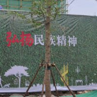 個(gè)人
