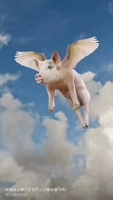 个人
