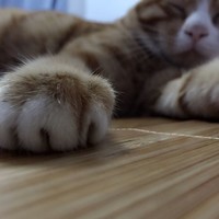 個(gè)人
