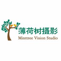 薄荷树视觉