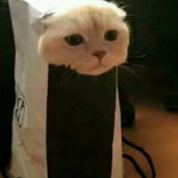 個人