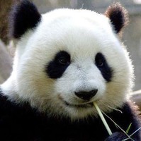 個人