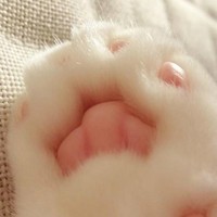 个人