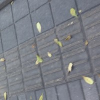 個人