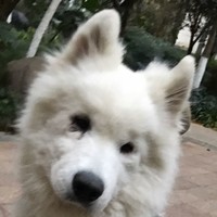 個人