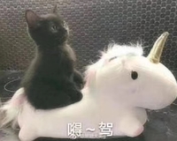 个人