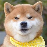 個人