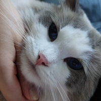 個(gè)人