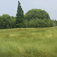 企業(yè)