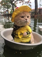 個人