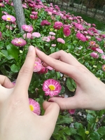 个人