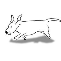 小猎犬设计工作室