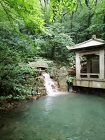 企業(yè)