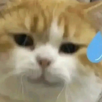 個人