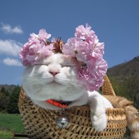 個人