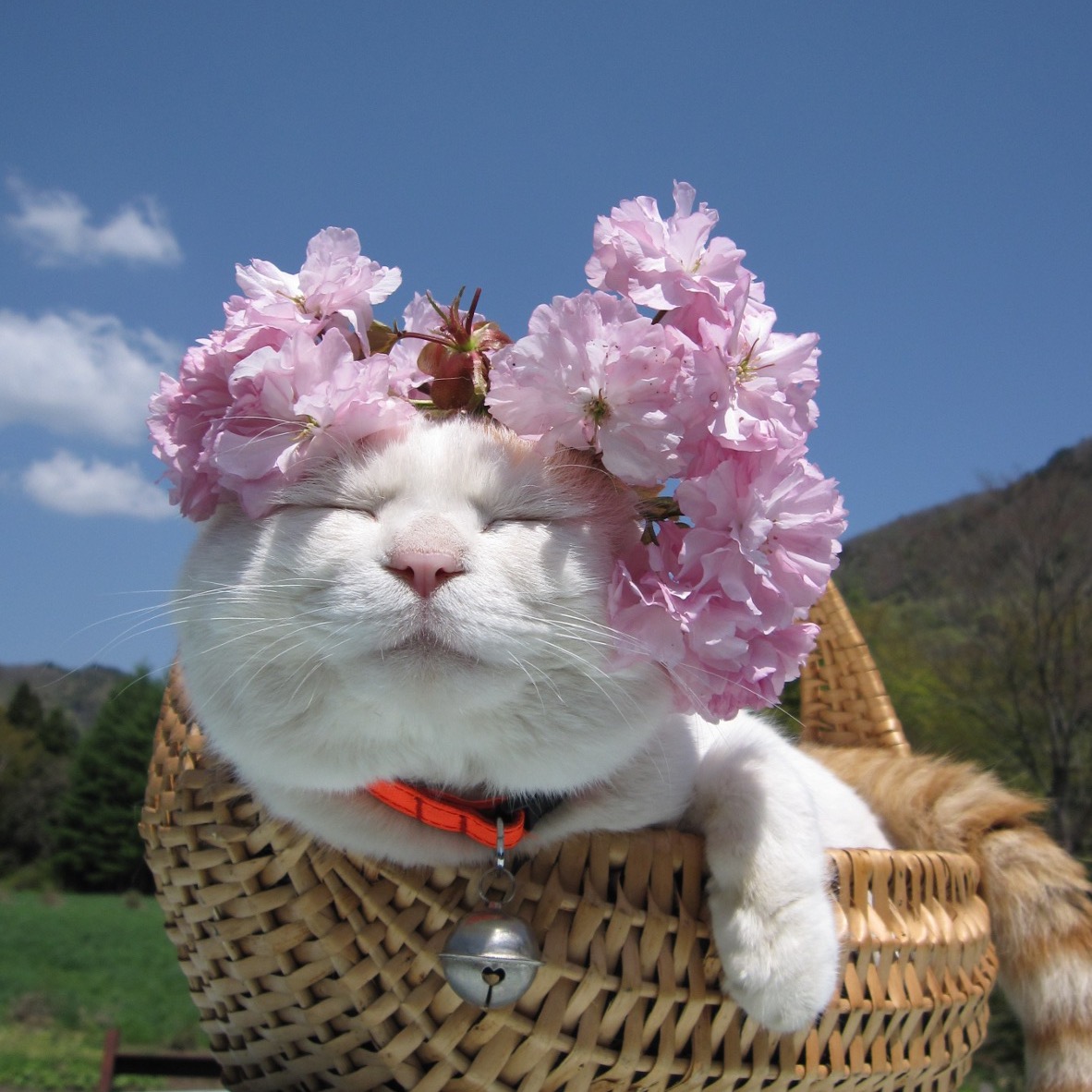 個人
