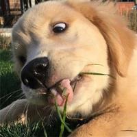 个人