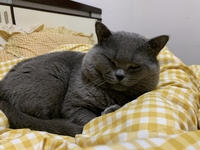 個(gè)人