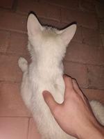 個人