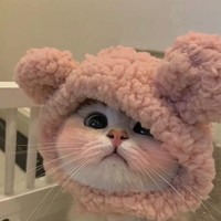 個人