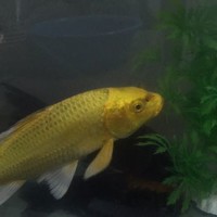 個(gè)人