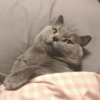 個(gè)人