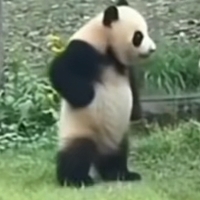個(gè)人