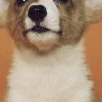 個(gè)人