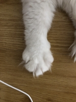 個(gè)人