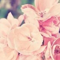 wendyjohnson2456