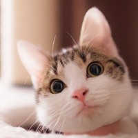 個(gè)人