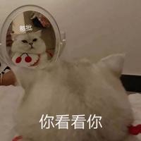 专业Photoshop YTR
