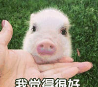 個人