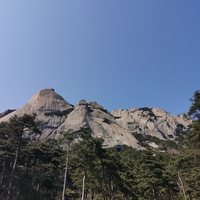 企業(yè)