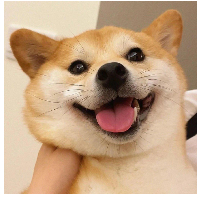 個(gè)人