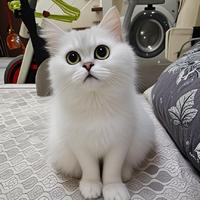 个人