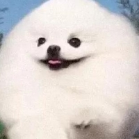 个人