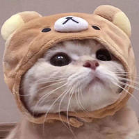 再**i