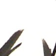 個(gè)人