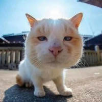 個(gè)人