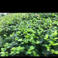 個(gè)人