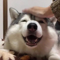 個人