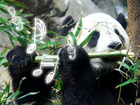 个人