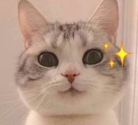 个人