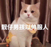 个人