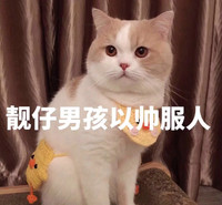 个人
