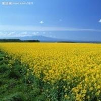 個(gè)人